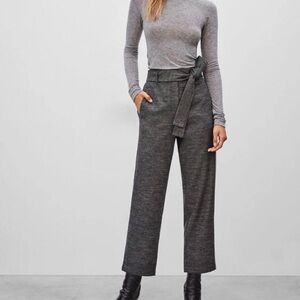 Aritzia Wilfred Belted Wool Trousers